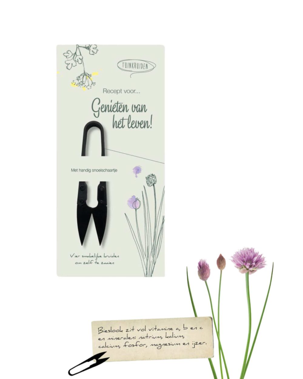 Geschenkdoosje zaden tuinkruiden "Genieten van het leven"