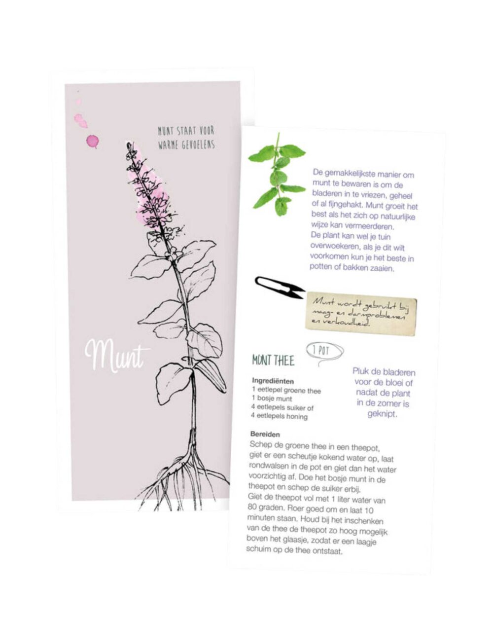 Geschenkdoosje zaden tuinkruiden "Genieten van het leven"