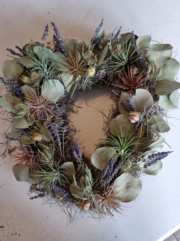 Moshart met tillandsia/vetplantjes