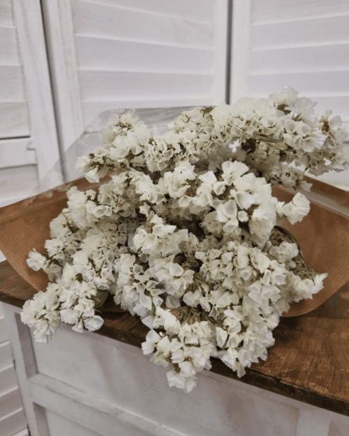 Bos gedroogde Limonium wit