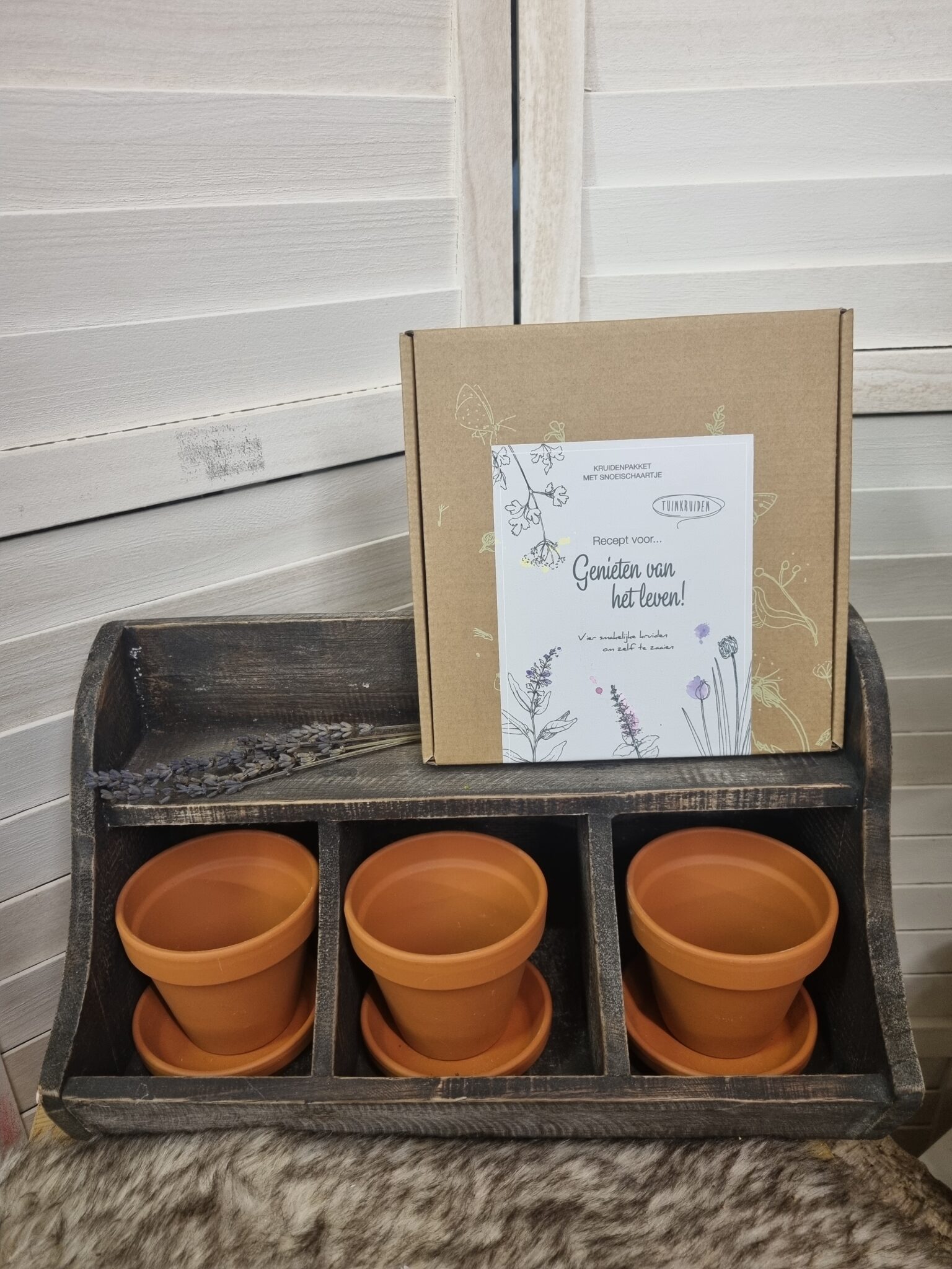 Kruidenkastje verfen en kruiden planten