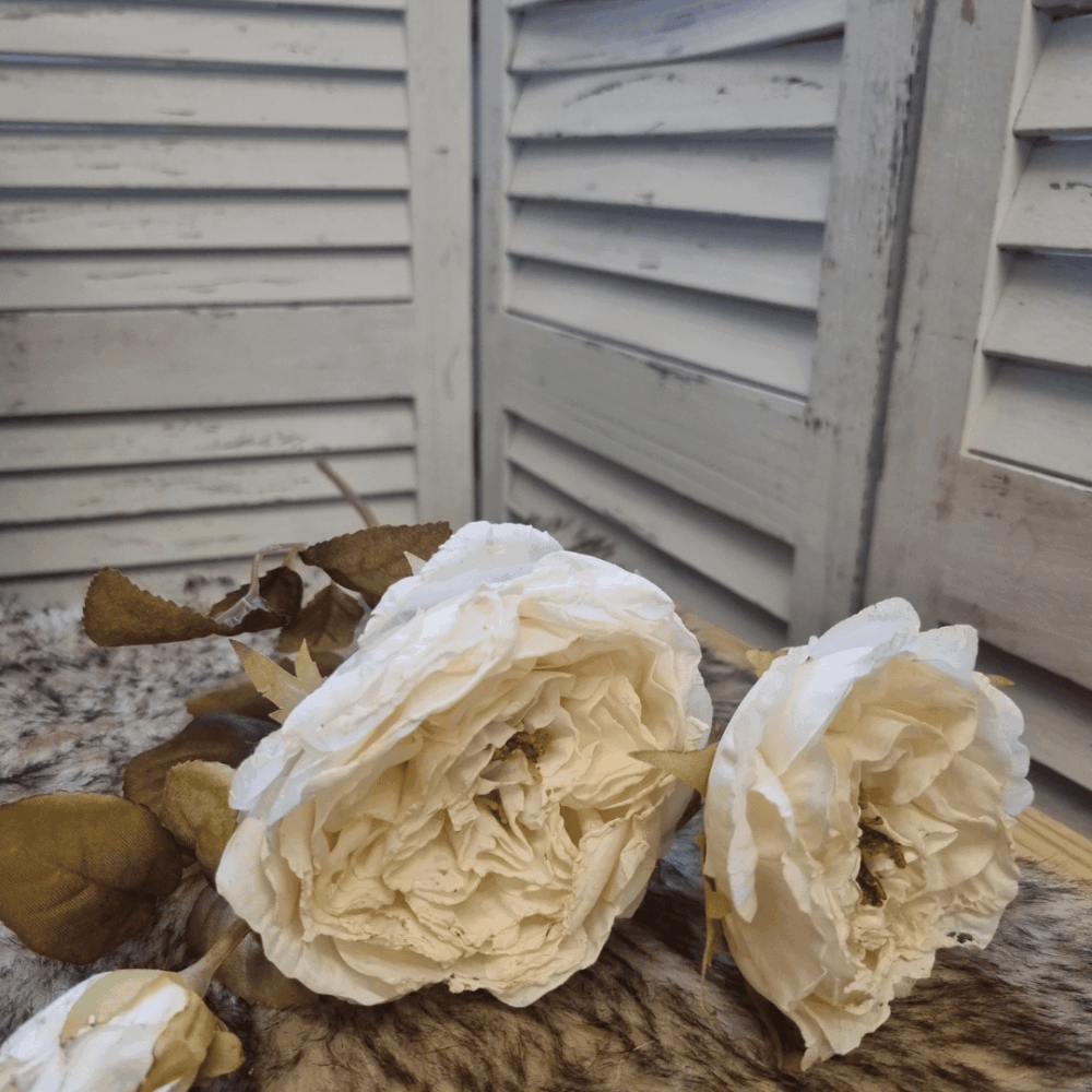 Vintage roos champagne Vintage roos champagne