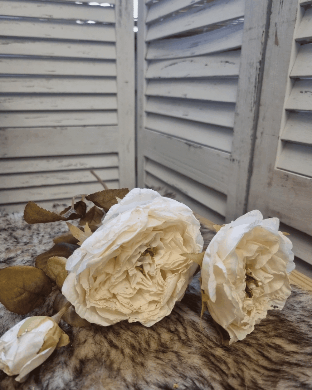 Vintage roos champagne Vintage roos champagne