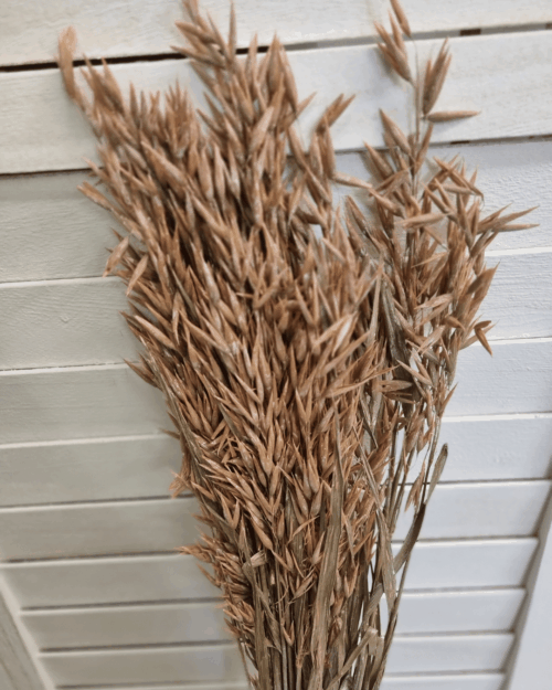 Bos bunch Avena nature zalm (sierhaver)