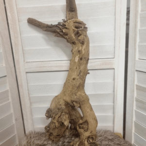 Druivenstronk (50cm) - 1