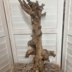 Druivenstronk (50cm) - 2