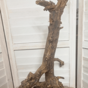 Druivenstronk (50cm) - 3